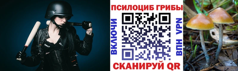 Псилоцибиновые грибы мухоморы  как найти наркотики  Сунжа 