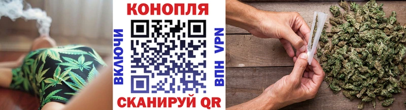 Канабис ГИДРОПОН  Сунжа 