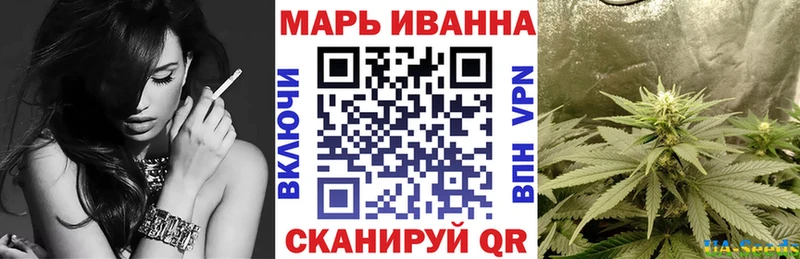 Каннабис сатива Сунжа
